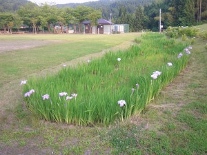 rimg0115