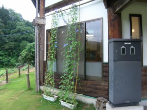 rimg03941