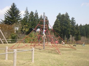 rimg00631