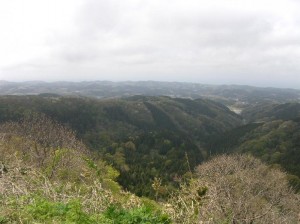 rimg00892
