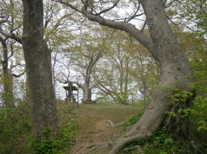 rimg01011