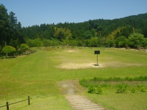 imgp07231