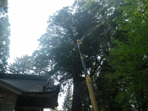 imgp2895
